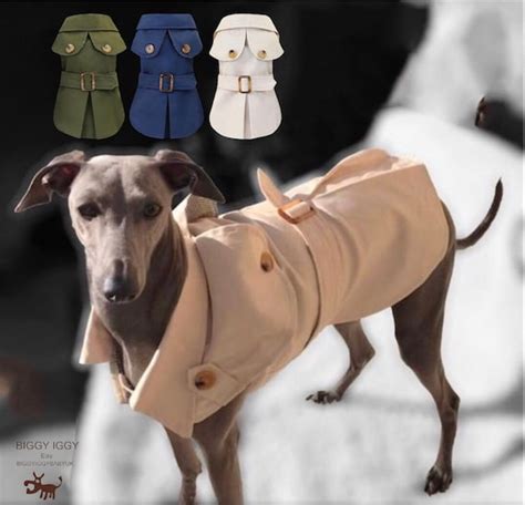 burberry greyhound coat|Burberry raincoat for dogs.